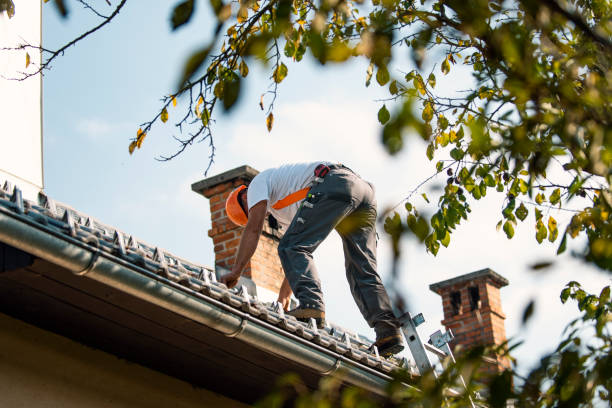 Best Metal Roofing Contractor  in Rio, VA
