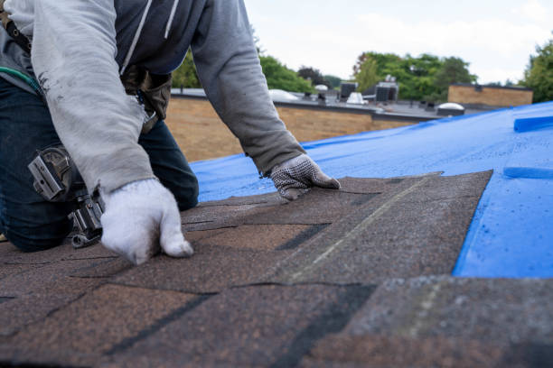 Roof Repair Estimates in Rio, VA